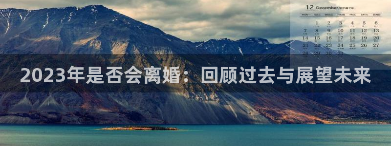 辉达娱乐加拿大app预测：2023年是否会离婚：回顾过去与展望未来