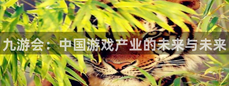 辉达娱乐体育凯捷平台代理：九游会：中国游戏产业的未来与未来