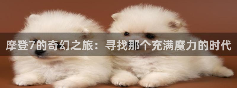 辉达娱乐登录网：摩登7的奇幻之旅：寻找那个充满魔力的时代