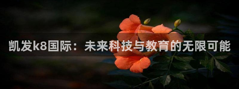辉达娱乐kgame：凯发k8国际：未来科技与教育的无限可能