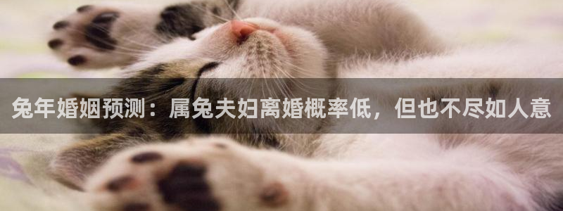 辉达娱乐凯捷开号链接：兔年婚姻预测：属兔夫妇离婚概率低，但也不尽如人意