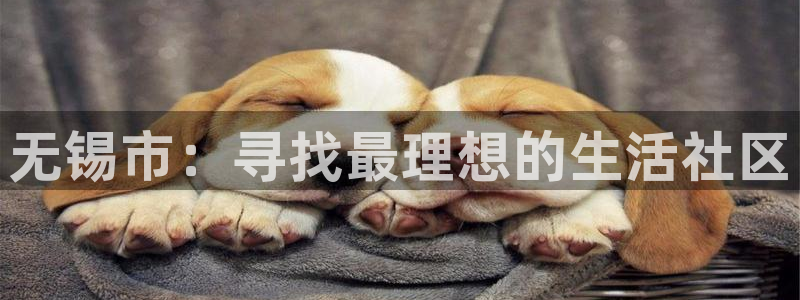 辉达娱乐账号注册：无锡市：寻找最理想的生活社区
