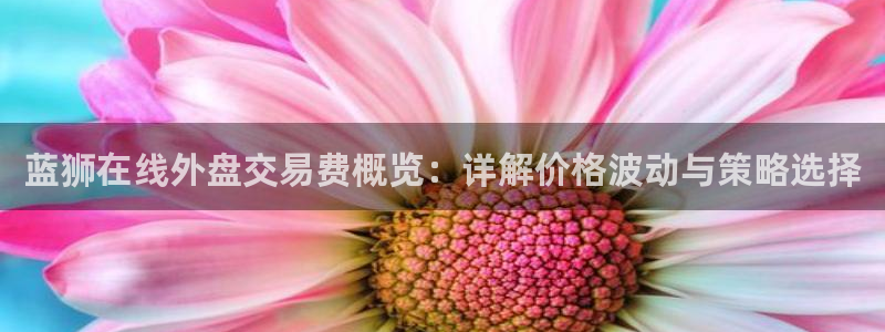 辉达娱乐.com：蓝狮在线外盘交易费概览：详解价格波动与策略选择