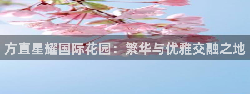 辉达娱乐游戏试玩：方直星耀国际花园：繁华与优雅交融之地