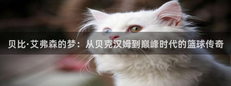 辉达娱乐环保：贝比·艾弗森的梦：从贝克汉姆到巅峰时代的篮球传奇