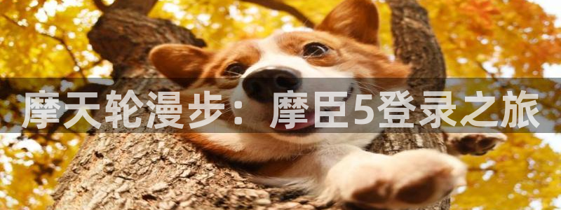 辉达娱乐平台官方入口下载：摩天轮漫步：摩臣5登录之旅