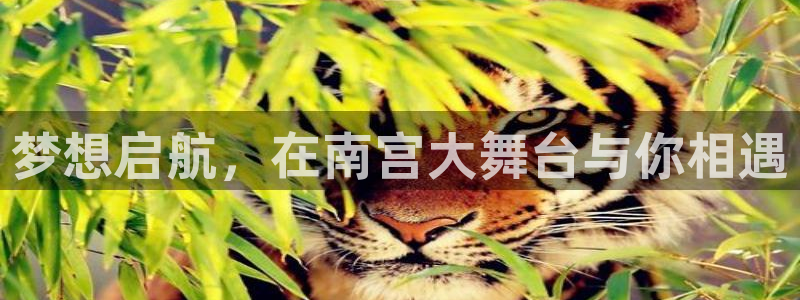 辉达娱乐平台：梦想启航，在南宫大舞台与你相遇