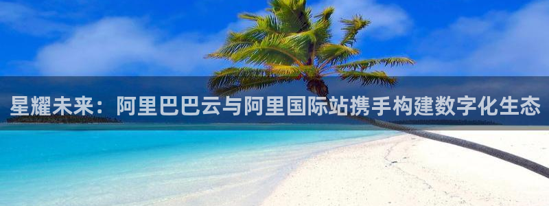 辉达娱乐3官网登录：星耀未来：阿里巴巴云与阿里国际站携手构建数字化生态