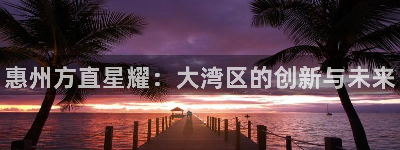 辉达娱乐是大平台吗：惠州方直星耀：大湾区的创新与未来