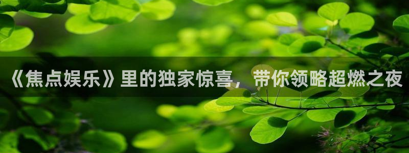 辉达娱乐是真的吗：《焦点娱乐》里的独家惊喜，带你领略超燃之夜