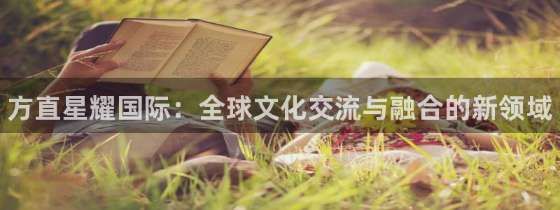 辉达娱乐平台主管：方直星耀国际：全球文化交流与融合的新领域