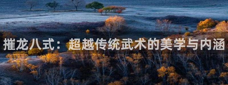 辉达娱乐2平台注册：摧龙八式：超越传统武术的美学与内涵