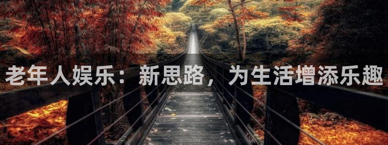 辉达娱乐ccmpc：老年人娱乐：新思路，为生活增添乐趣