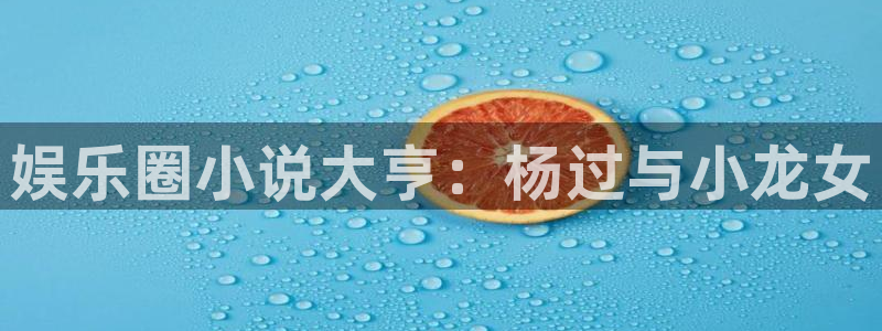 辉达娱乐3官网：娱乐圈小说大亨：杨过与小龙女