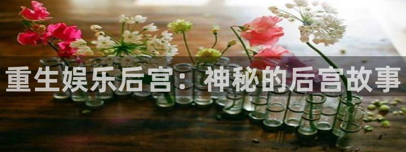 辉达娱乐平台官方入口：重生娱乐后宫：神秘的后宫故事