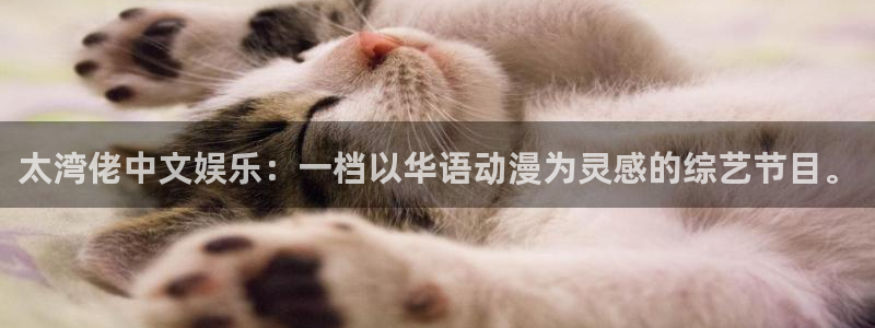 辉达娱乐体育游戏：太湾佬中文娱乐：一档以华语动漫为灵感的综艺节目。