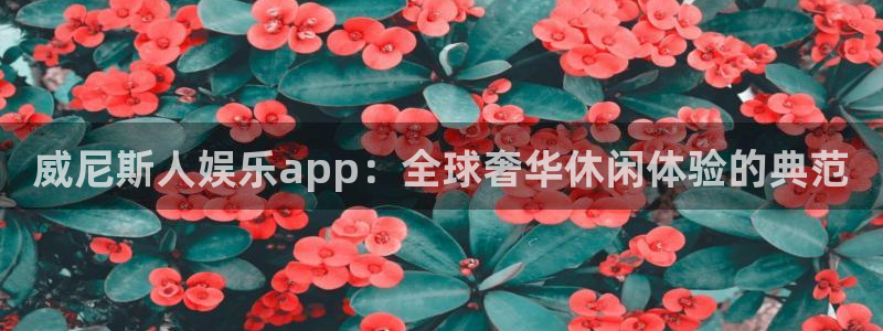 辉达娱乐app注册地址：威尼斯人娱乐app：全球奢华休闲体验的典范