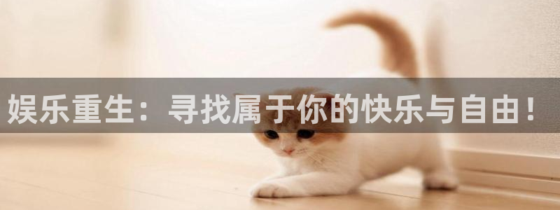 辉达娱乐.com：娱乐重生：寻找属于你的快乐与自由！