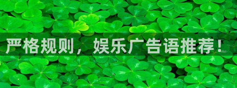 辉达娱乐是啥：严格规则，娱乐广告语推荐！