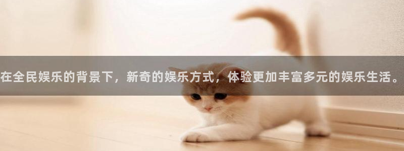 辉达娱乐登录注册：在全民娱乐的背景下，新奇的娱乐方式，体验更加丰富多元的娱乐生活
