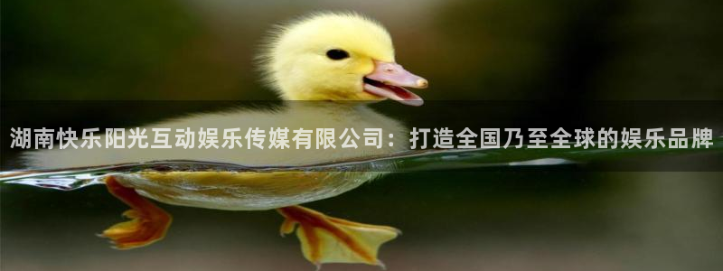 辉达娱乐2平台：湖南快乐阳光互动娱乐传媒有限公司：打造全国乃至全球的娱乐品牌