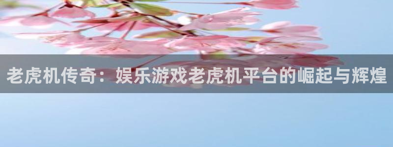 苹果版辉达娱乐下载安装：老虎机传奇：娱乐游戏老虎机平台的崛起与辉煌