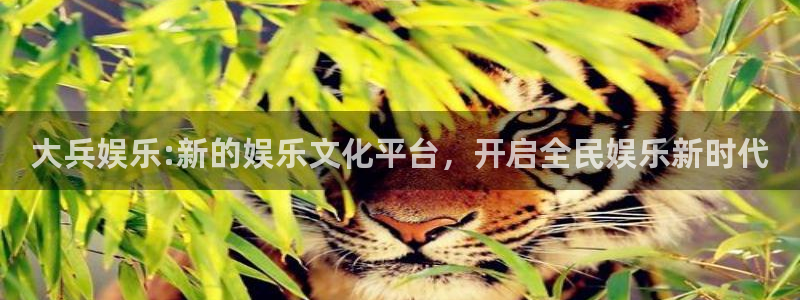 辉达娱乐娱乐：大兵娱乐:新的娱乐文化平台，开启全民娱乐新时代