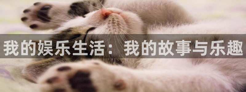 辉达娱乐集团总部：我的娱乐生活：我的故事与乐趣