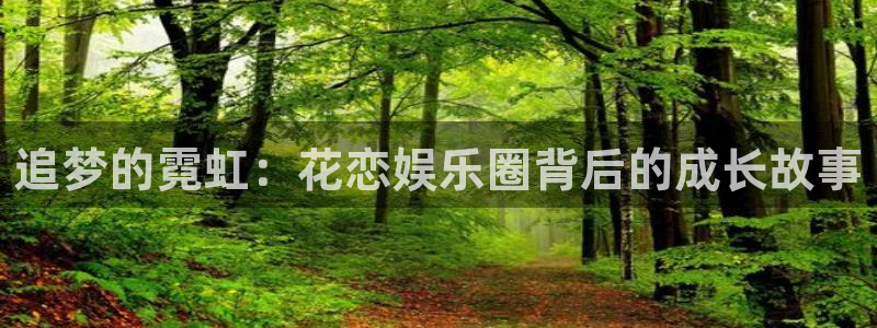 辉达娱乐体育平台注册：追梦的霓虹：花恋娱乐圈背后的成长故事