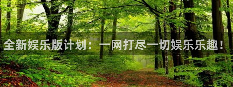 辉达娱乐游戏官网入口：全新娱乐版计划：一网打尽一切娱乐乐趣！