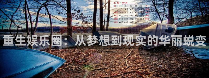 辉达娱乐凯捷注册：重生娱乐圈：从梦想到现实的华丽蜕变