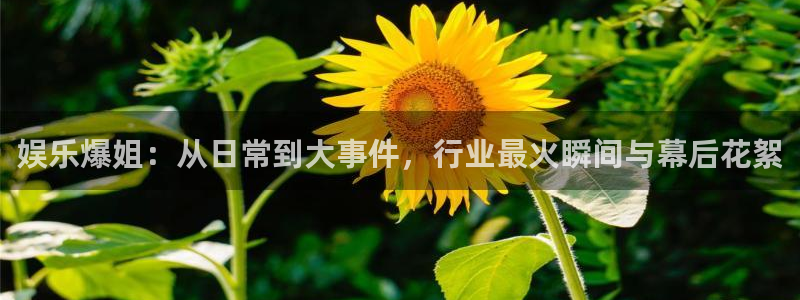 辉达娱乐体育热门赛事有哪些：娱乐爆姐：从日常到大事件，行业最火瞬间与幕后花絮