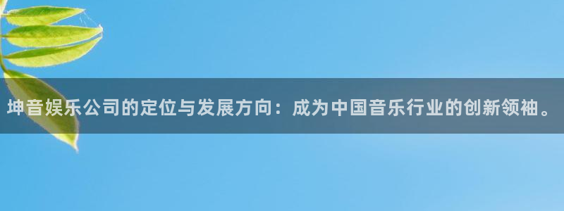 辉达娱乐平台官方入口：坤音娱乐公司的定位与发展方向：成为中国音乐行业的创新领袖。