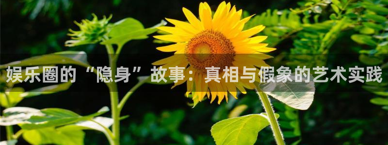 辉达娱乐平台注册账号：娱乐圈的“隐身”故事：真相与假象的艺术实践