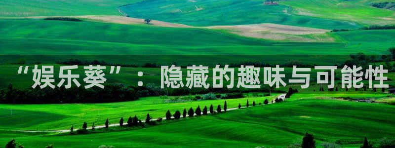 辉达娱乐网站：“娱乐葵”：隐藏的趣味与可能性