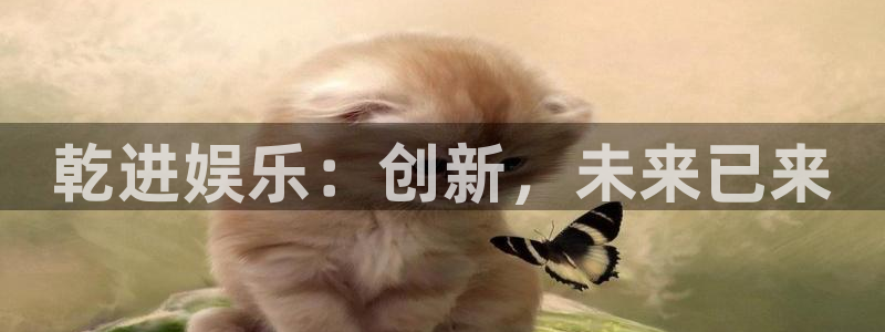 辉达娱乐体育1招商：乾进娱乐：创新，未来已来