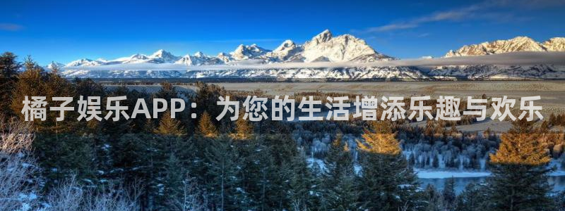辉达娱乐平台登录：橘子娱乐APP：为您的生活增添乐趣与欢乐